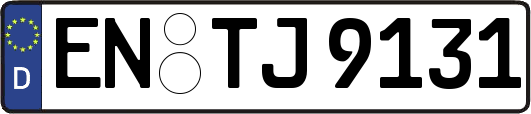 EN-TJ9131