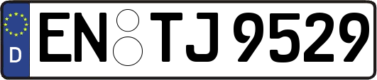 EN-TJ9529