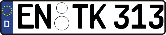 EN-TK313
