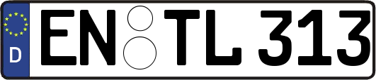 EN-TL313
