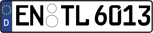 EN-TL6013
