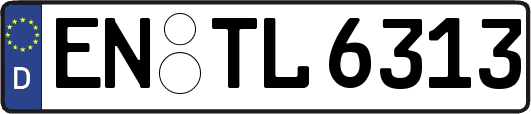 EN-TL6313