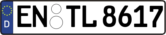 EN-TL8617