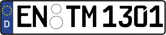 EN-TM1301