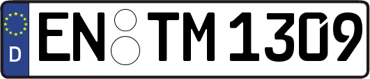 EN-TM1309