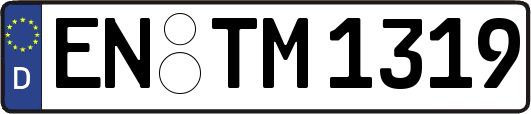 EN-TM1319
