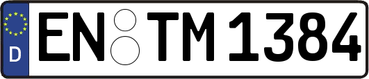 EN-TM1384