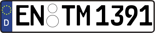 EN-TM1391