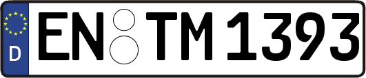 EN-TM1393