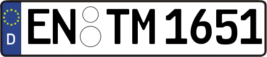 EN-TM1651