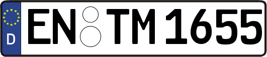 EN-TM1655