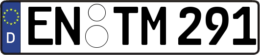 EN-TM291
