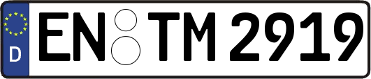 EN-TM2919