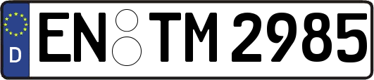 EN-TM2985