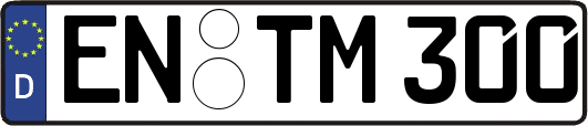 EN-TM300