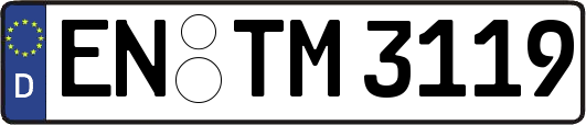 EN-TM3119
