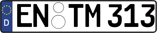 EN-TM313