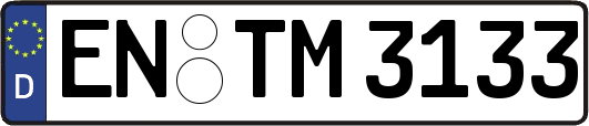 EN-TM3133