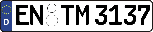 EN-TM3137