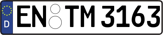 EN-TM3163