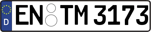 EN-TM3173