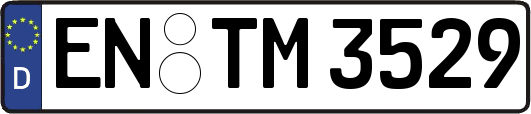 EN-TM3529