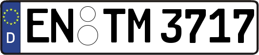 EN-TM3717