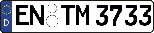 EN-TM3733
