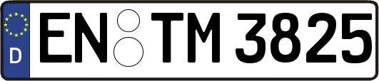 EN-TM3825