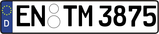 EN-TM3875