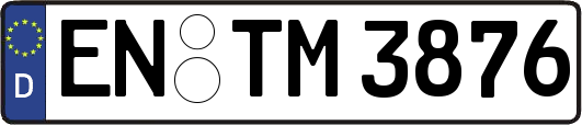 EN-TM3876