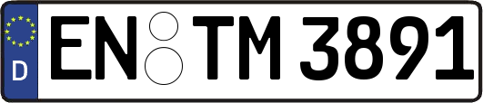 EN-TM3891