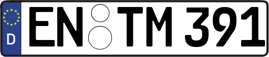 EN-TM391