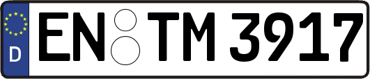 EN-TM3917