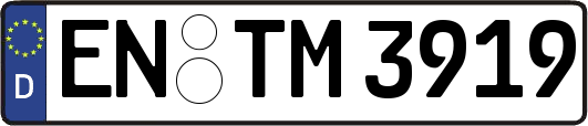 EN-TM3919