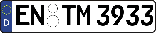 EN-TM3933