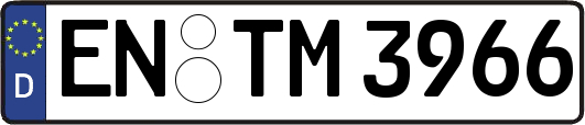 EN-TM3966