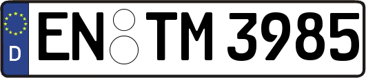 EN-TM3985