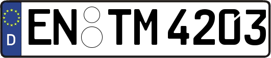 EN-TM4203