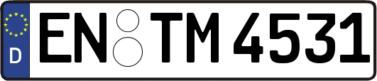 EN-TM4531