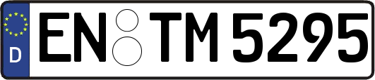 EN-TM5295
