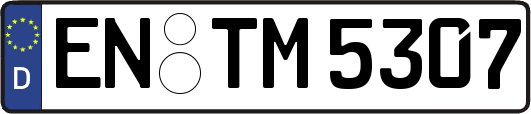 EN-TM5307