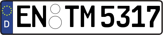 EN-TM5317