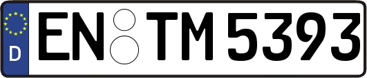 EN-TM5393