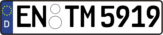 EN-TM5919
