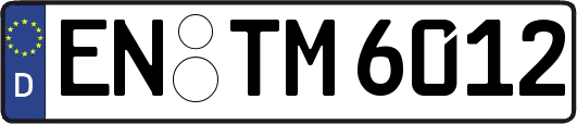 EN-TM6012