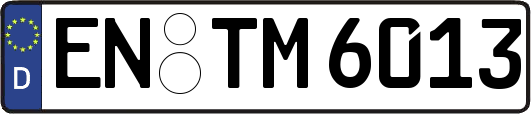 EN-TM6013