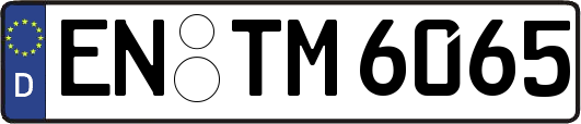 EN-TM6065