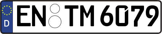 EN-TM6079