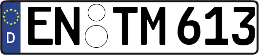 EN-TM613